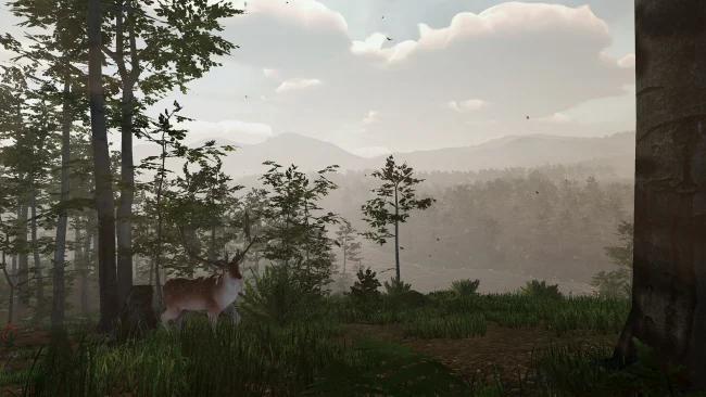 Virtual Hunter PC Screenshot